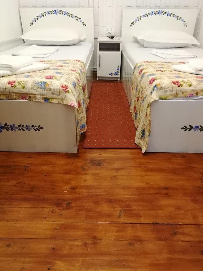 Pensiunea Geostar 2 Curtea de Argeş エクステリア 写真